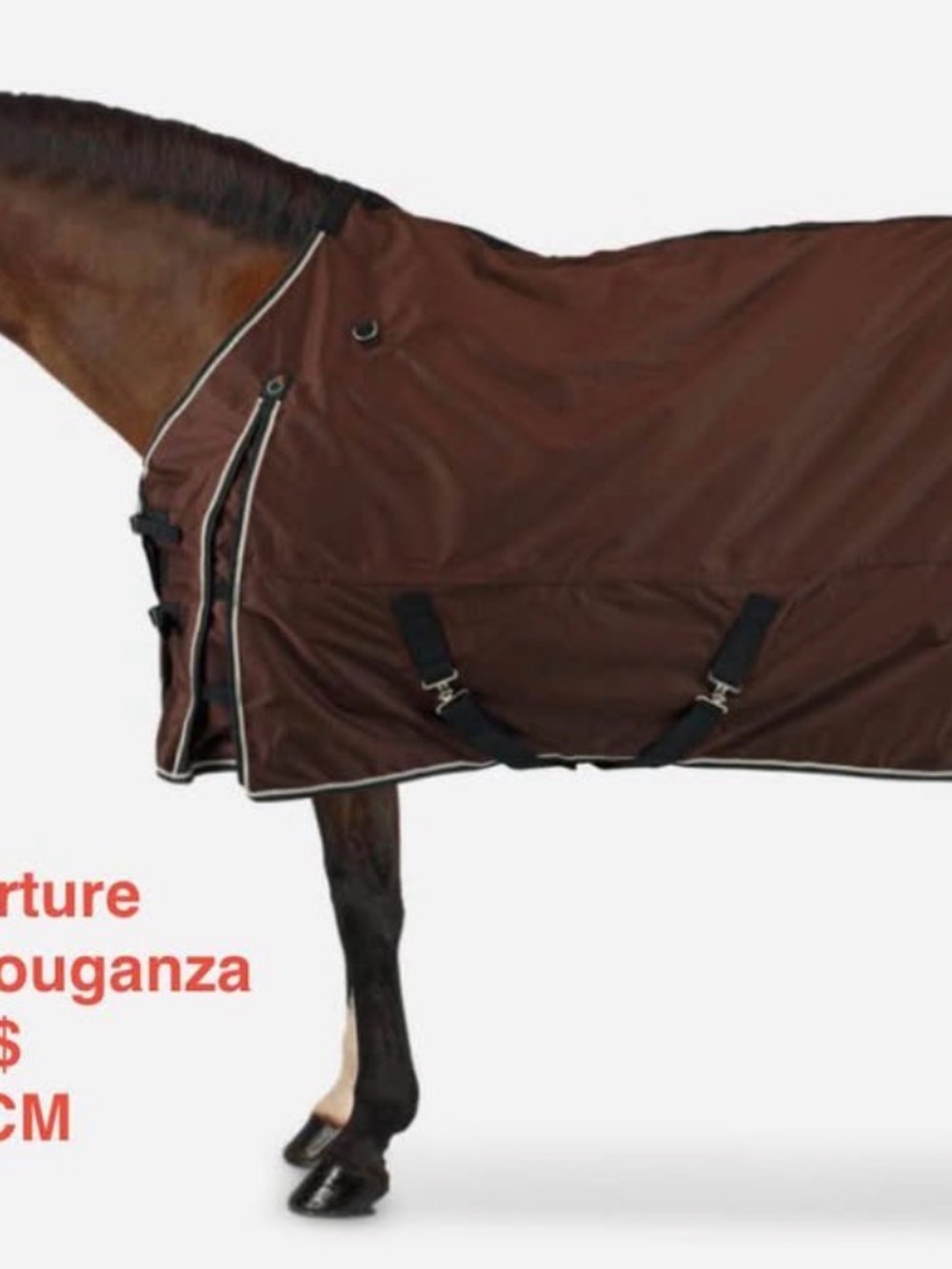 Brown Men's Equestrian Blanket Jacket
